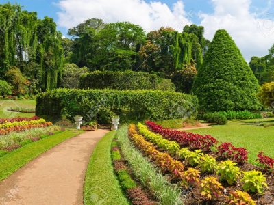 20840781-Beautiful-tropical-Royal-Botanical-Gardens-Peradeniya-Kandy-Sri-Lanka-Stock-Photo